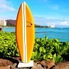 Center Stripe on a Little Surfboard in Waikiki by Diamond Head (cropped)